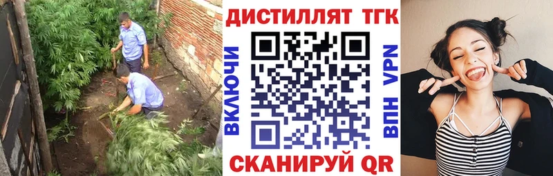 хочу   дарк нет состав  ТГК концентрат  Нижняя Салда 